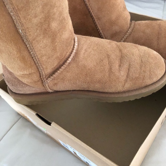 CLASSIC SHORT TAN UGG BOOTS - Picture 5 of 7